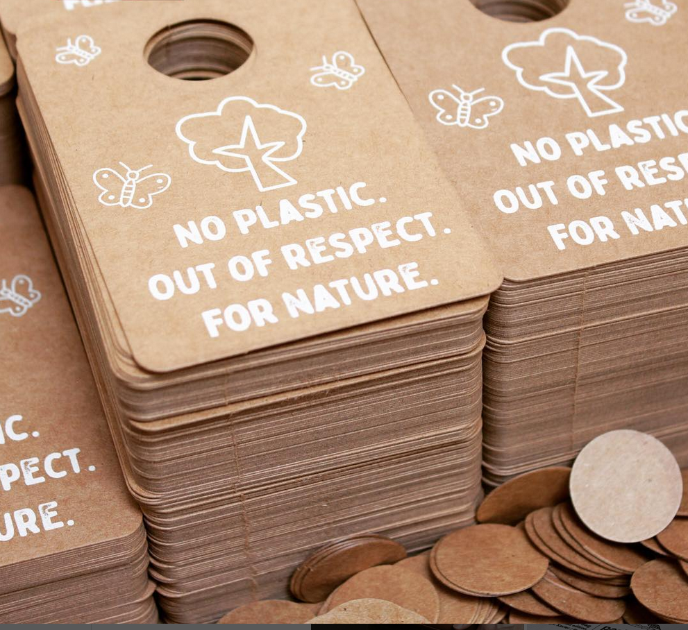 Plastikvermeidung im Alltag: Wie kleine Schritte Großes bewirken können